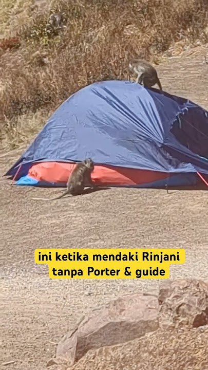 This is the result of climbing without using a porter & guide #rinjani #hiking #mountains #travel...
