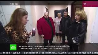 Барецкий избил соседей Малибу ЧП НТВ