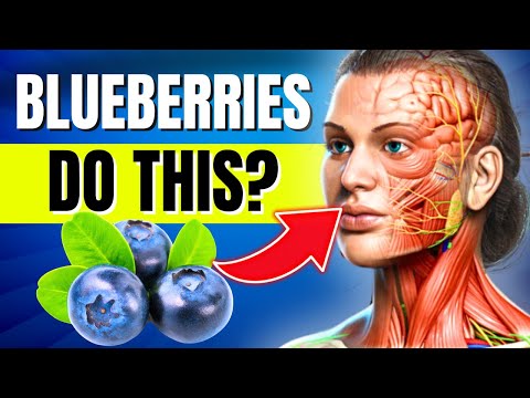 What Happens To Your Body When You Eat Blueberries Everyday