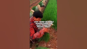 😱 most oddly work satisfying video