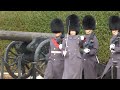 Guard of Honour ceremony. Band of  the Grenadier Guards and Grenadier Guards