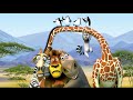 Madagascar 2 Fee Movie Kids For Baby Animation Engliish Fun ...