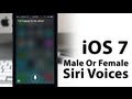 Hands On IOS 7 Siri How To Change Siri S Voice Male Or Female Hands On IOS 7 Siri How To Change Siri S Voice Male Or Female
