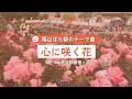 福山ばら祭のテーマ曲「心に咲く花」