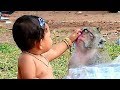 Building Relationship, Baby Human Touch Love Money Sok | Monkey Sok & Baby Compilation.
