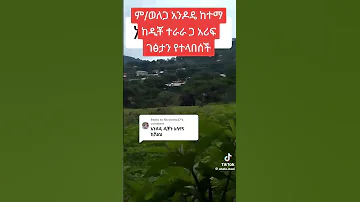 የም ወለጋ አንዶዴ ዲቾ ቀበሌ የጄግኖች መገኛ Automobile Duet 
