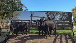 VR Seeds to Broadacre