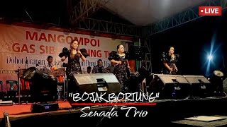 Senada Trio Guncang Pangururan Dengan Bojak Bortung Cipt. Suryanto Siregar