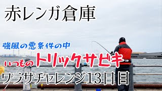 赤レンガ倉庫 強風の悪条件の中 トリックサビキ釣り ワラサチャレンジ13日目 釣り動画