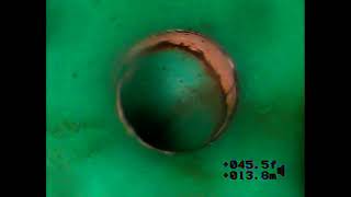 202103313 loop