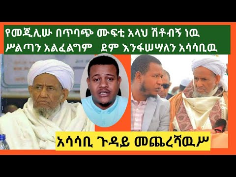 ቪዲዮ: የሽንኩርት ጉዳይ፡ ከዘር ማደግ ከአርክቲክ ክልል ባሻገርም ይቻላል።