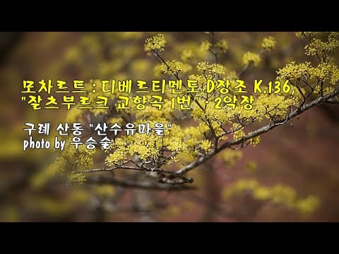 모차르트 : 디베르티멘토 D장조 K.136, '잘츠부르크 교향곡 1번' - 2악장 & photo by 우승술