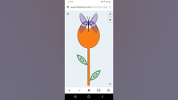 Drawing #flower And #butterfly Using Math Formula On Cartesian Plane Run By Desmos Software #desmos