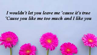 The Beatles - You Like Me Too Much (Lyrics)