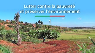 Professionnalisation des filières agricoles périurbaines, à Madagascar (2018) – épisode 1