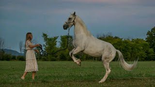 رمزيات بنات حصان ،،🏇 جميلة