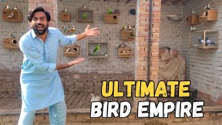 Master Cage Birds Breeding Ka Liya Ready Ho Gya 😍