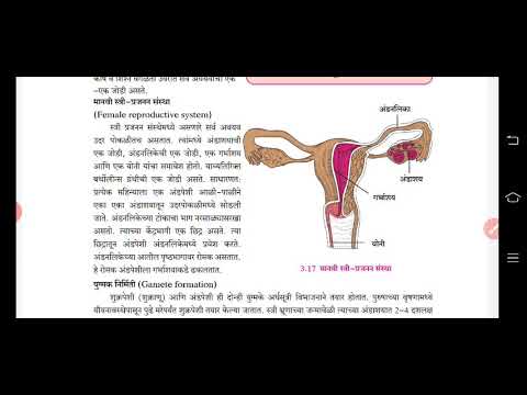 10 विज्ञान 2# मानवी स्त्री प्रजनन## सजीवातील जीवनप्रक्रिया भाग 2##