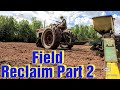 Field Reclaim Part 2/Discing/ Corn Planting with John Deere 7000 Planter and Farmall 560