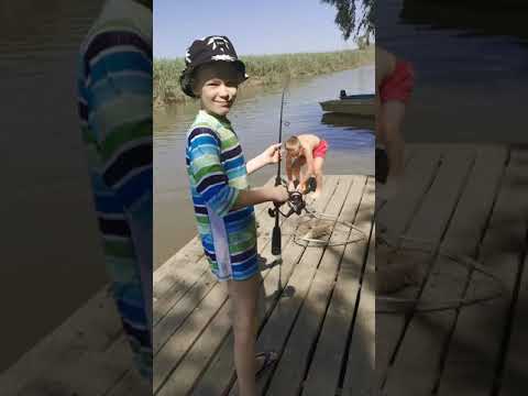 Дети ловят рыбу на базе "ПИРАНЬЯ-ДЕЛЬТА" #РЫБАЛКА #РЫБАЛКАЛЕТОМ #ЛЕТНЯЯРЫБАЛКА2021