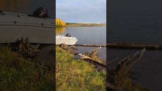 Доброе утро на УИ ВДХР #рыбалка