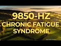 9850hz music therapy for chronic fatigue syndrome  40hz binaural beat  healing relaxing calming