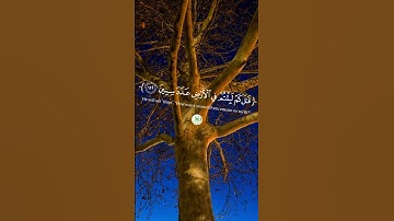 سورة المؤمنون _ " الآية 111-112-113 "  🕋