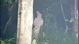 pocong cunil2 moment paling hot.. selama penelusuran live explore misteri