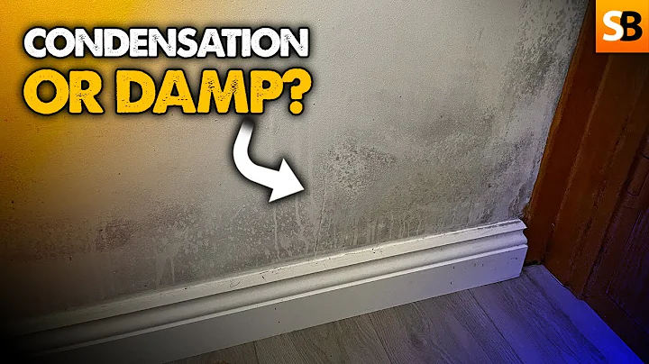 Is This Condensation or Rising Damp? - DayDayNews