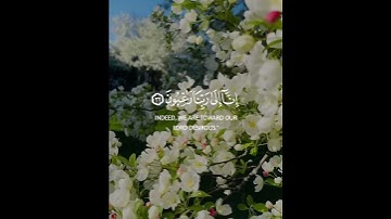 عسى ربنا ان يبدلنا خيرا منها #القرآن_الكريم #تلاوة_خاشعة #كرومات_قرآن #شاشه_سوداء #راحة_نفسية