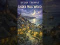 Dylan Thomas — Under Milk Wood #audiobook  #history #booktube #shorts
