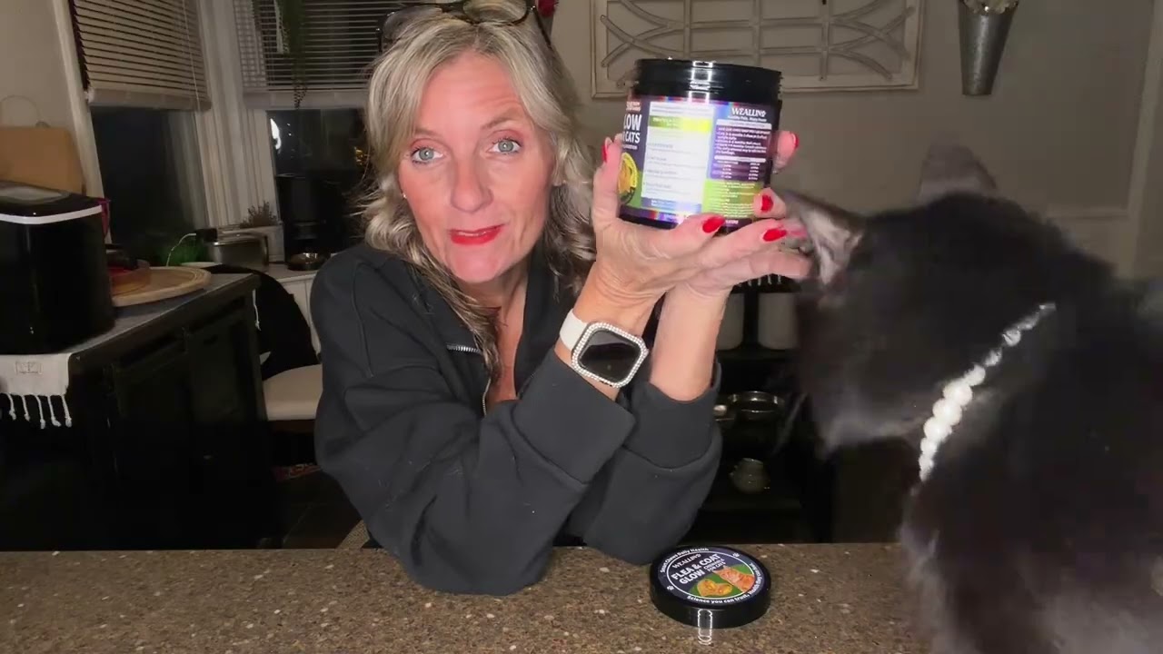 Flea and Tick Prevention for Cats Review — Real Performance, No Sponsorships X047