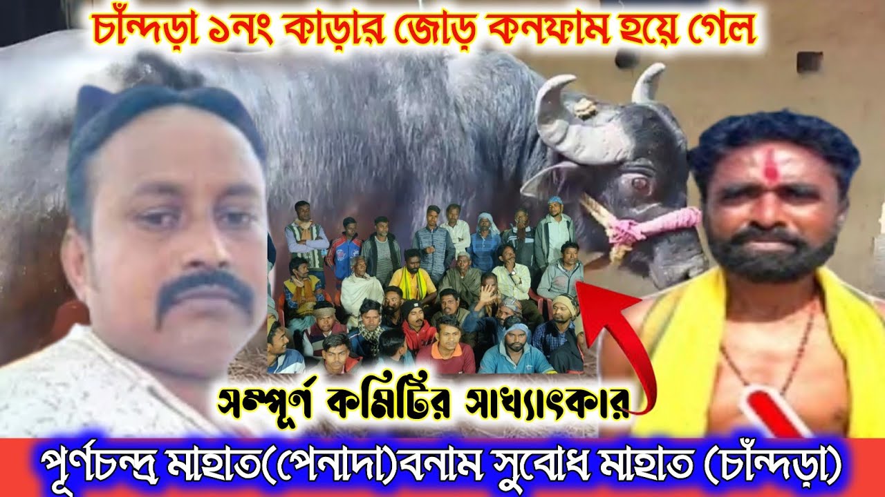 সুবোধ মাহাতর কাড়ার জোড় কিভাবে হলো দেখুন।। চাঁন্দড়া ১লা ফাল্গুন কাড়া লড়াই🔥