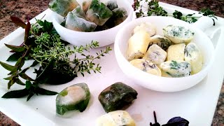 How to Freeze Fresh Herbs (DIY from Learn To Grow)