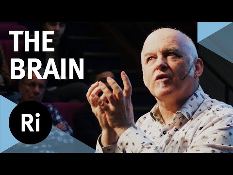 Our Quest to Understand the Brain – with Matthew Cobb