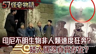 印尼不明生物非人類速度狂奔哈佛證實不假矮人國恐真實存在【57怪奇物語】@57StrangerThings