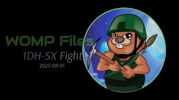 WOMP Files - The 1DH-SX Fight