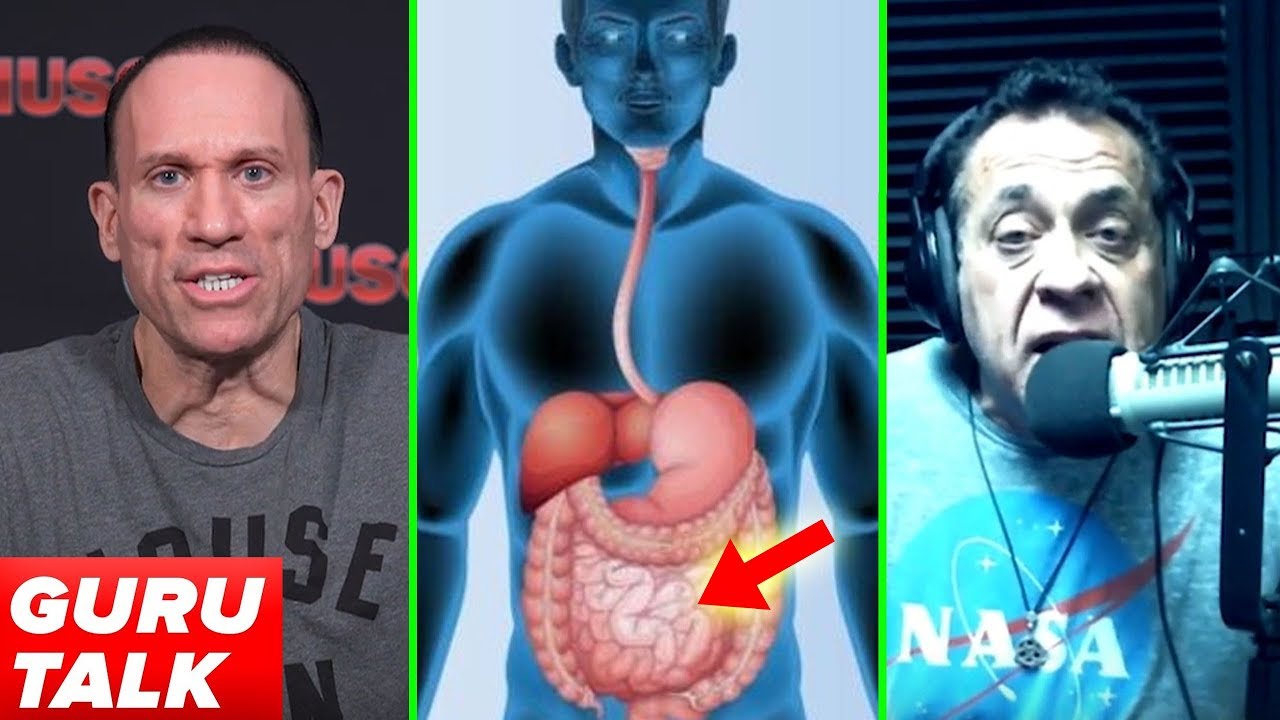 THE BEST PEPTIDE FOR GUT HEALTH? GuruTalk