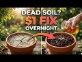 “Dead Soil? Try This $1 Brew Tonight”