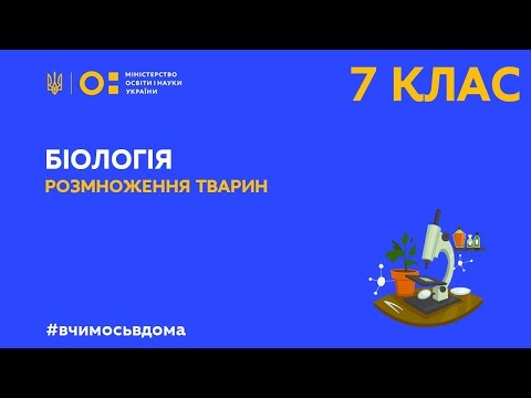 7 клас. Біологія. Розмноження тварин  (Тиж.2:ЧТ)