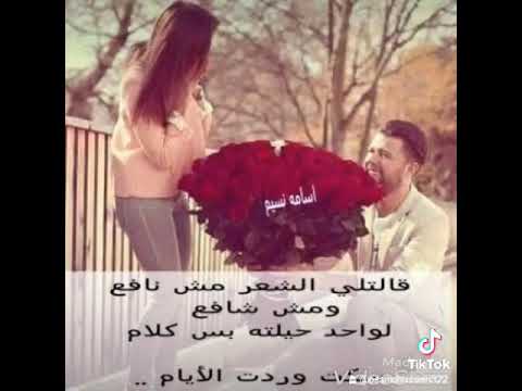 حماقي زيها مين