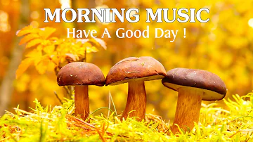 تحميل 3 05 49 Now Playing Watch Later Add To Queue Relaxing Music With Birds Singing Beautiful Piano Music Guitar Music By Soothing Relaxation تحميل 3 05 49 Now Playing Watch Later Add To Queue Relaxing Music With Birds Singing Beautiful Piano Music Guitar Music By Soothing Relaxation