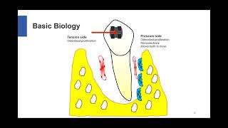 Dental Treatment: Accelerated Orthodontics Jul 30, 2019 screenshot 5