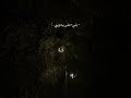 ذكرتني خلي المملوح ذكرتني خلي المملوح