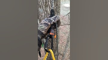 Living on the Edge… of a Tree Stand!