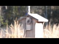 Bluebird nest box