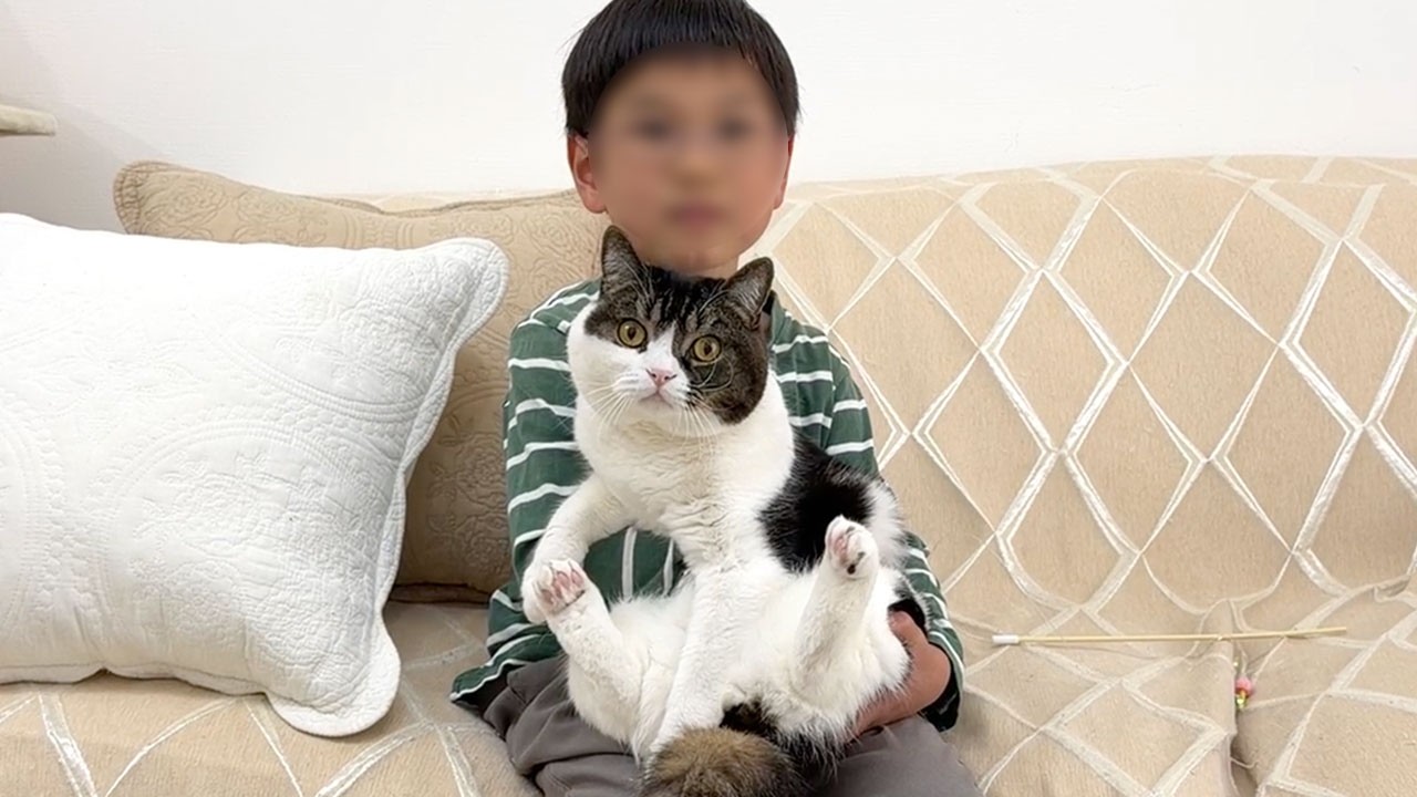 Here's the moment a child who had never touched a cat before was