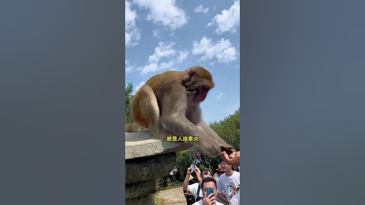 国内最让人失望的10大景点，快来看看你都中招过几个呢？ #旅游 #旅行 #旅行推荐官#旅行推荐官 #旅行大玩家 #旅行推荐 #大美中国 - 天天要闻