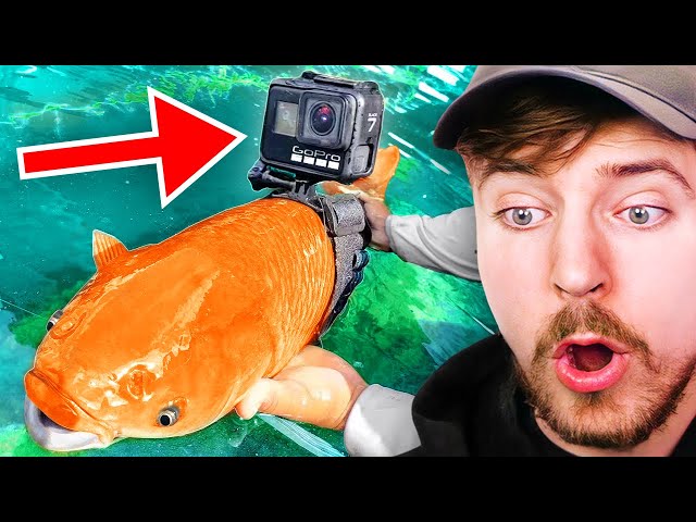 I Strapped A GoPro To A Fish! class=