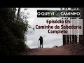 O que vi no Caminho - Episódio 5 - Caminho da Sabedoria